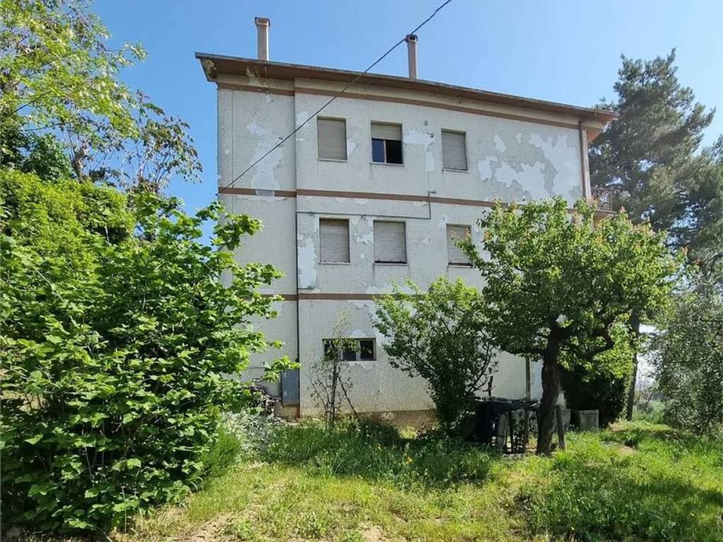 immagine annuncio 1 di 3