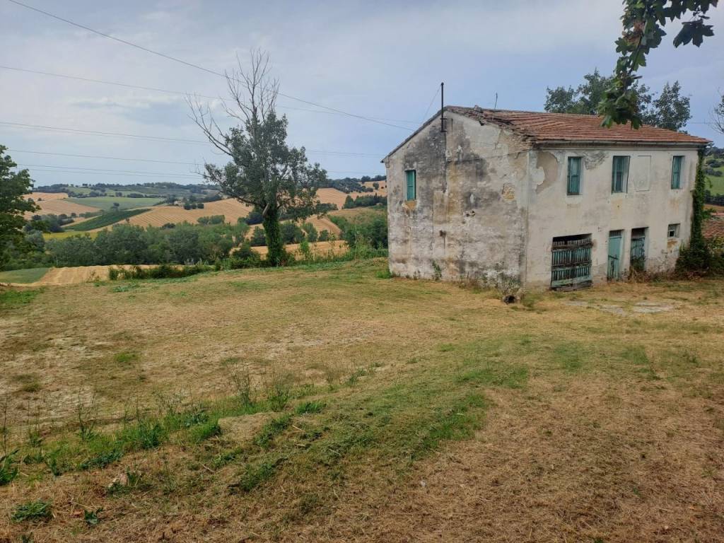 immagine annuncio 1 di 3
