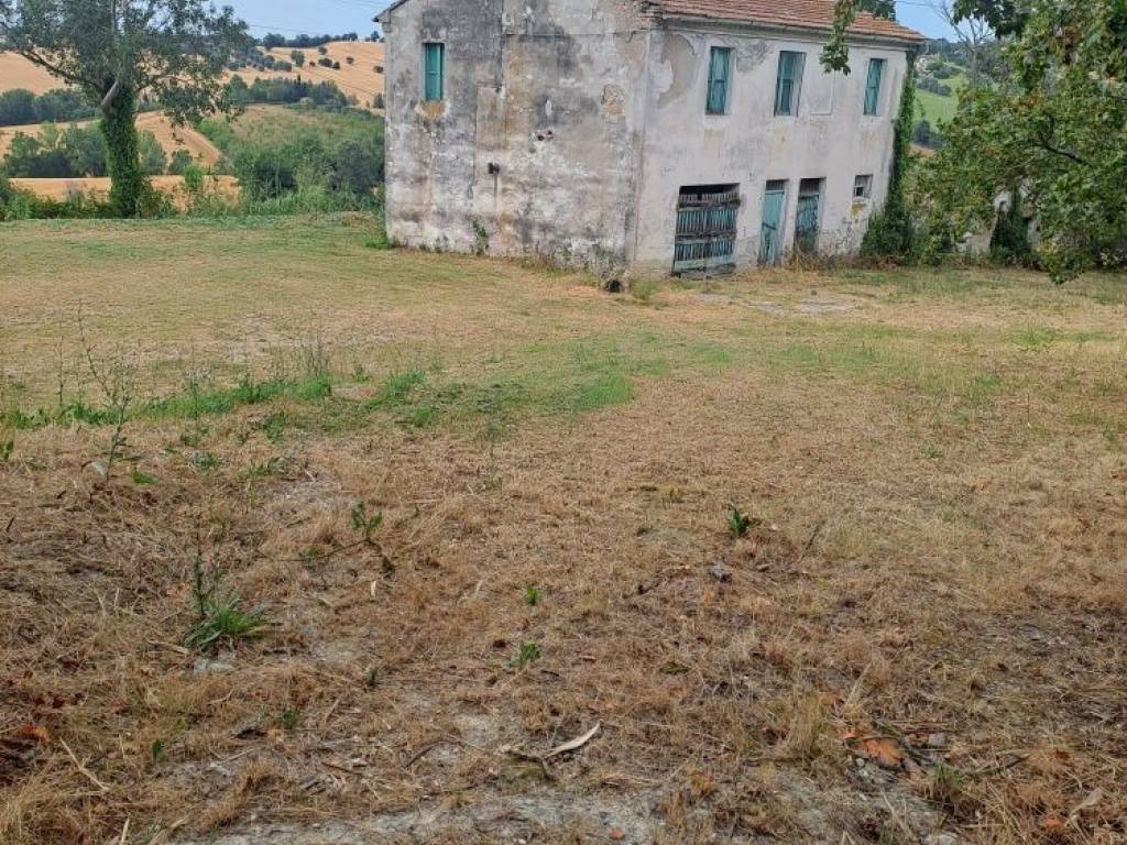 immagine annuncio 2 di 3