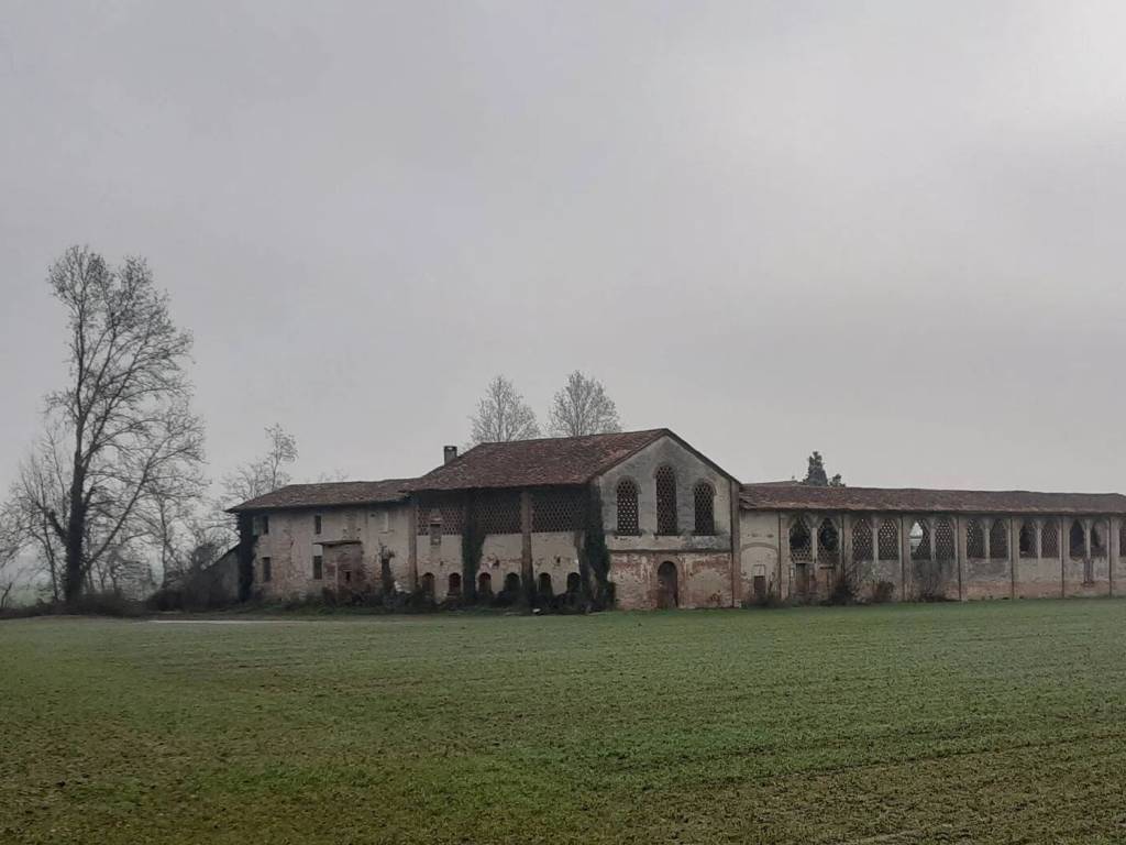 immagine annuncio 2 di 4