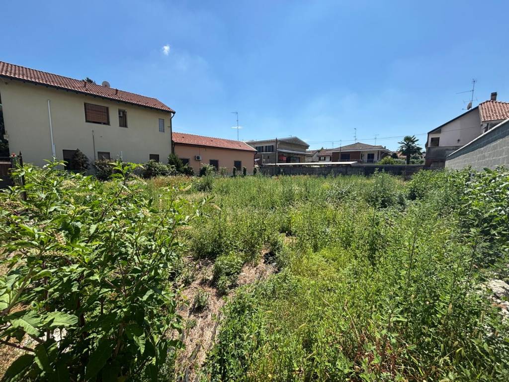 immagine annuncio 2 di 3