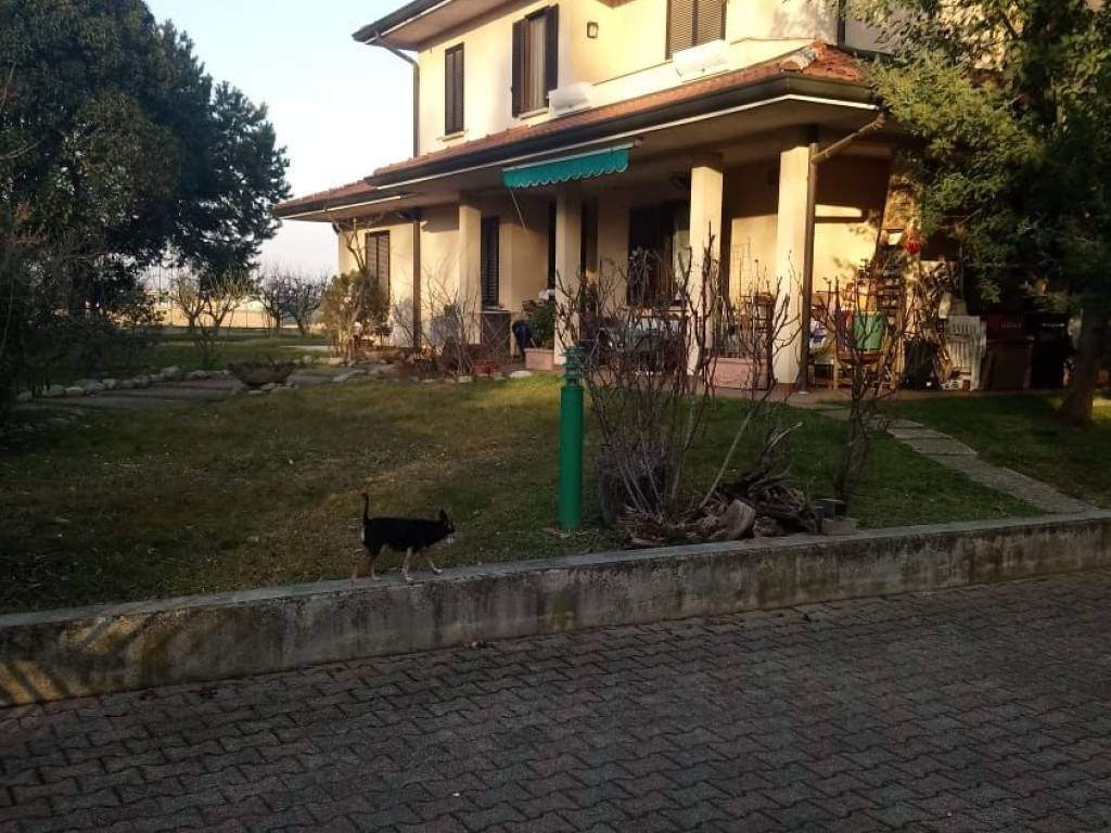 immagine annuncio 3 di 5