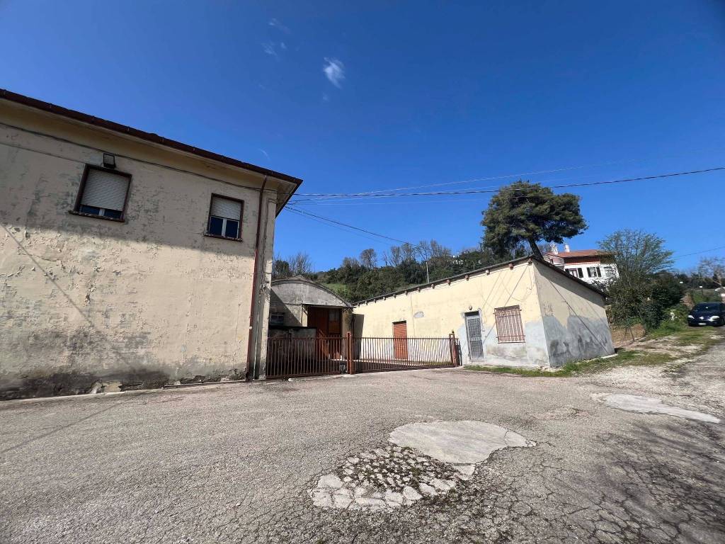immagine annuncio 3 di 5