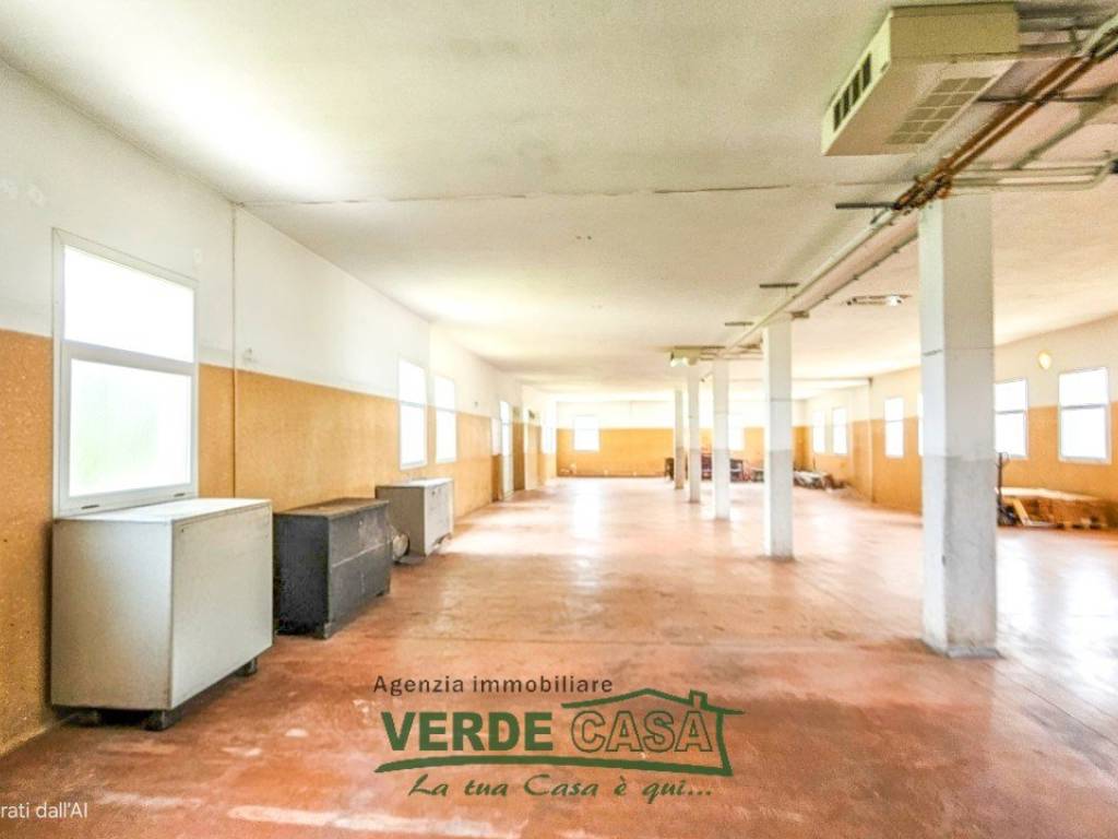 immagine annuncio 4 di 5