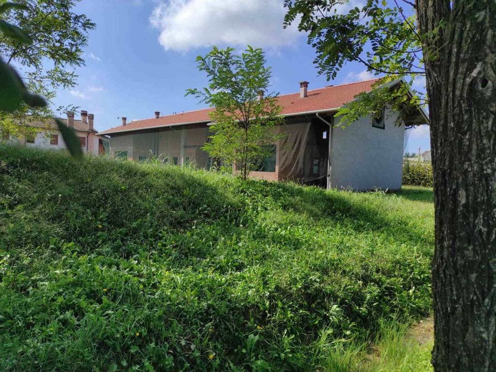 immagine annuncio 2 di 5