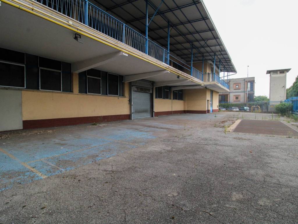 immagine annuncio 2 di 5