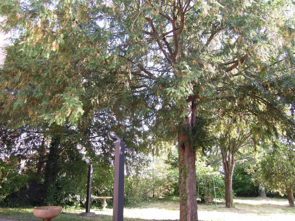 immagine annuncio 2 di 4
