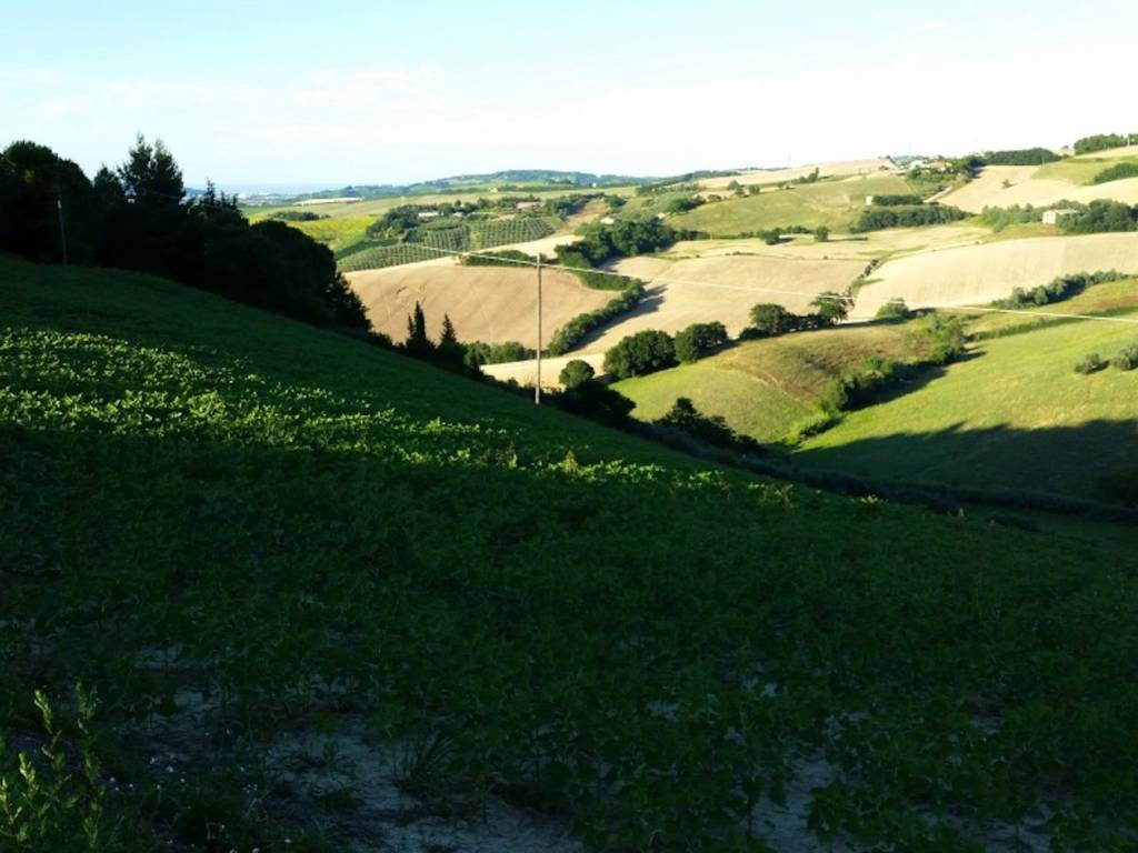 immagine annuncio 3 di 4