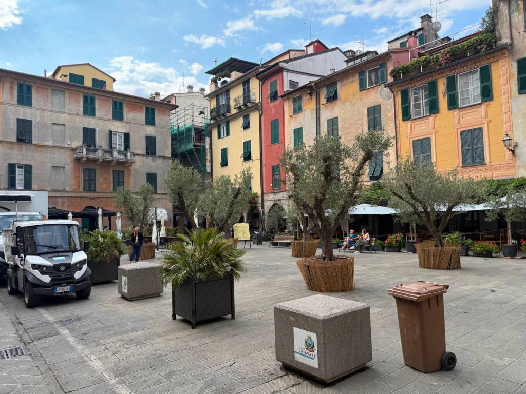 immagine annuncio 3 di 5