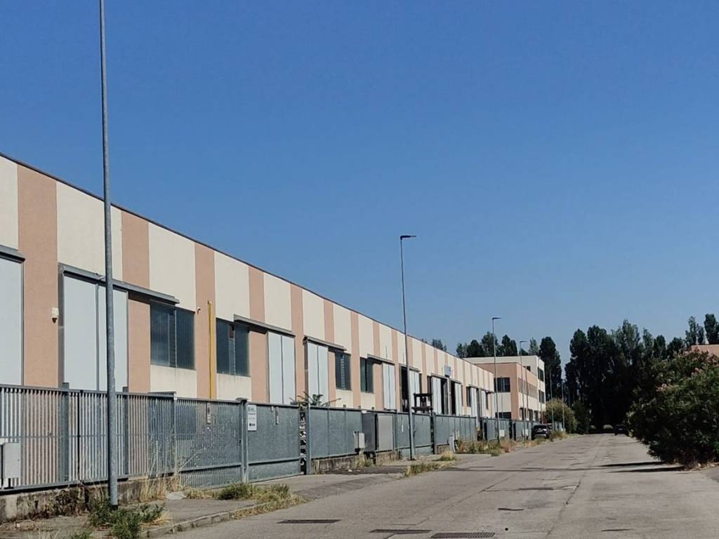 immagine annuncio 2 di 5