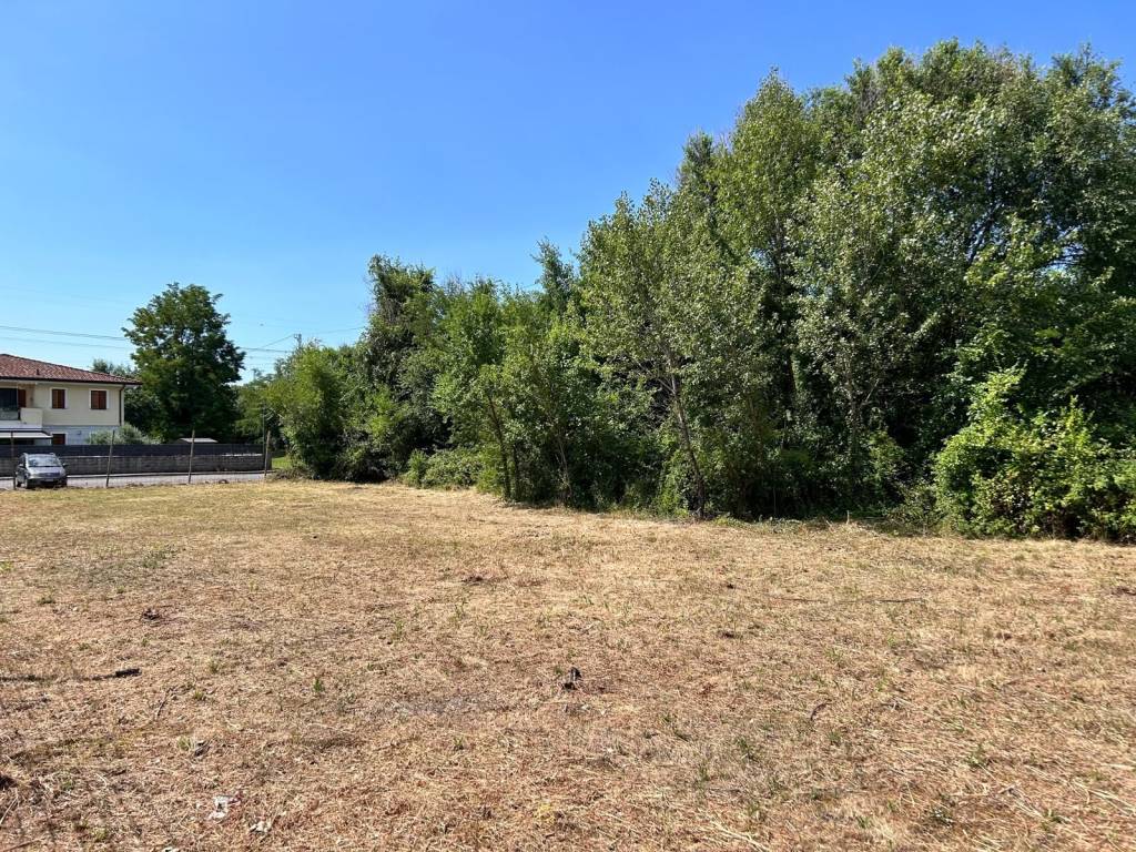 immagine annuncio 2 di 4