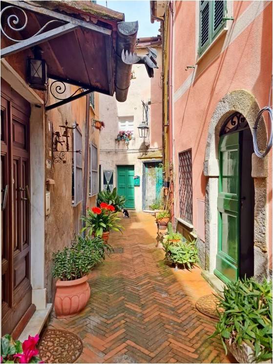 immagine annuncio 4 di 5