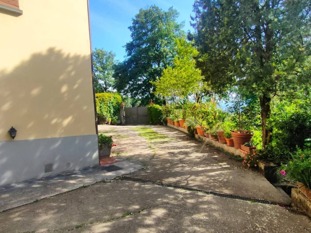 immagine annuncio 2 di 4