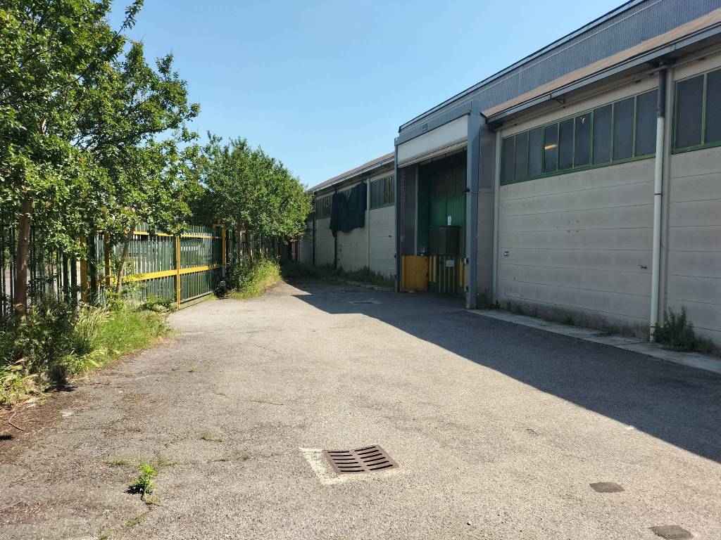 immagine annuncio 3 di 5