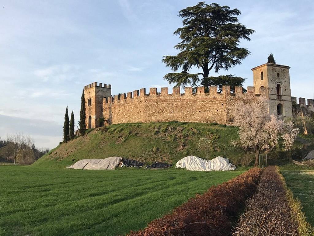 immagine annuncio 2 di 5