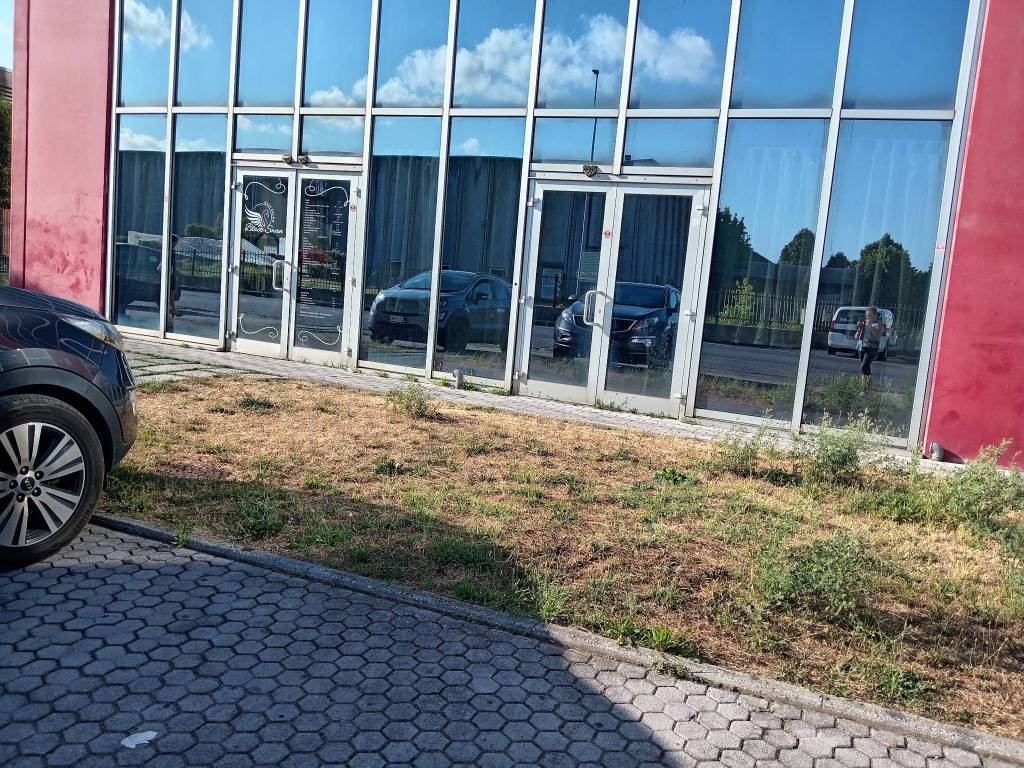 immagine annuncio 2 di 4