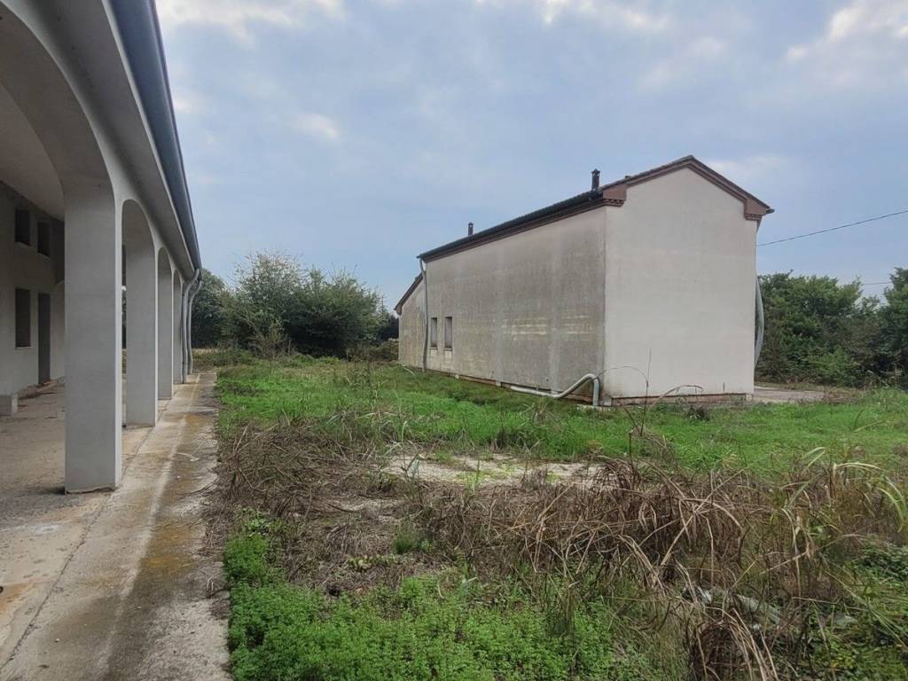immagine annuncio 1 di 2