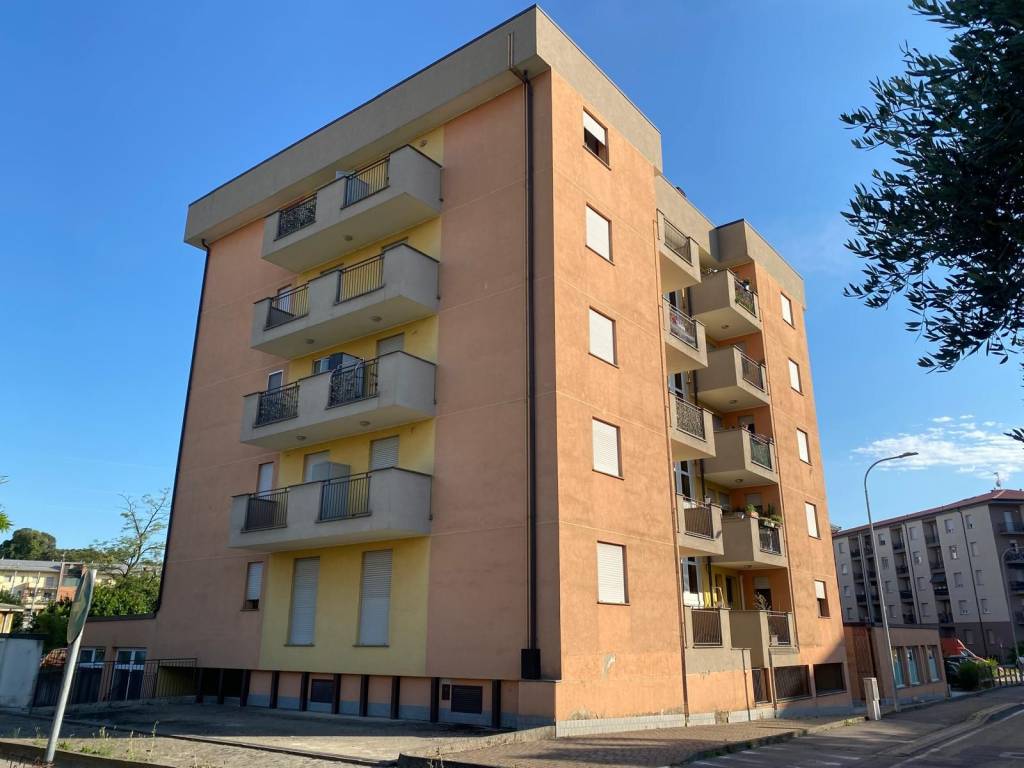 immagine annuncio 2 di 5