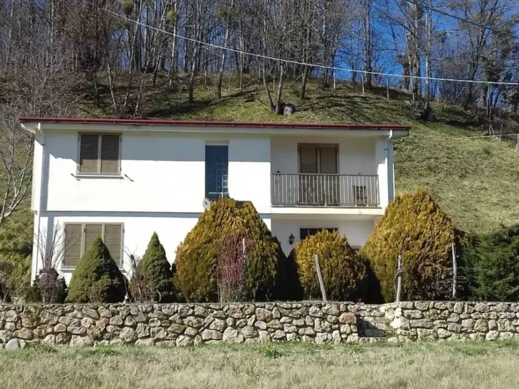 immagine annuncio 1 di 4