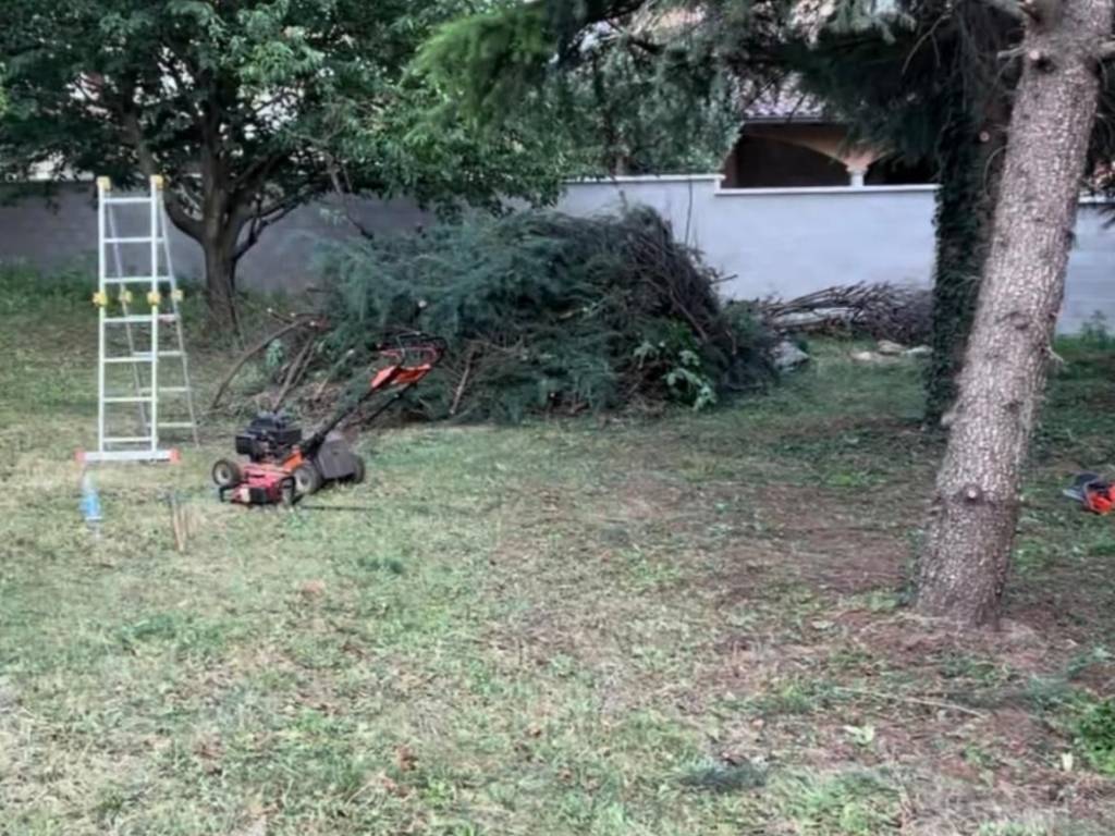 immagine annuncio 2 di 5