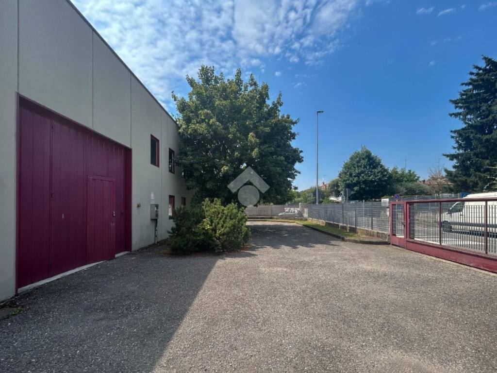 immagine annuncio 3 di 5