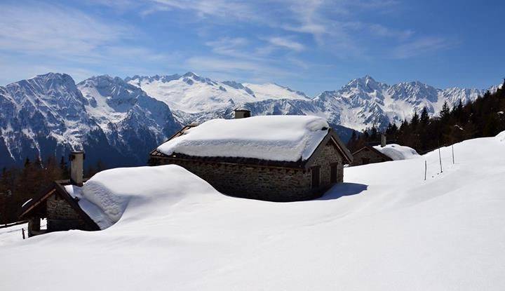 immagine annuncio 2 di 4