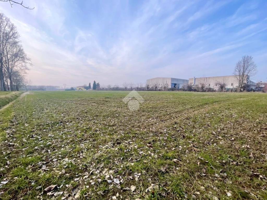 immagine annuncio 1 di 3