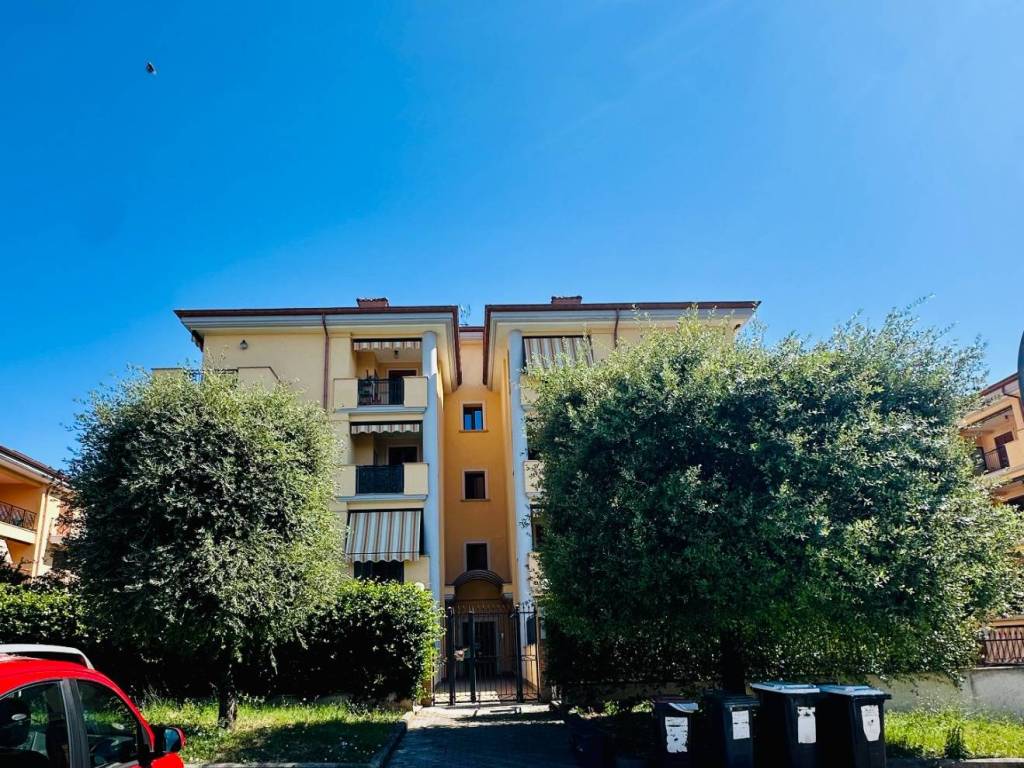 immagine annuncio 2 di 3