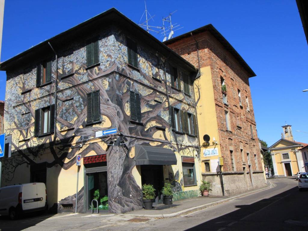immagine annuncio 2 di 5