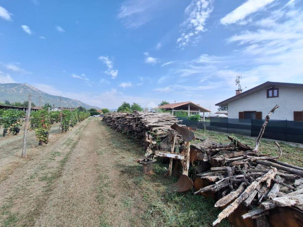 immagine annuncio 2 di 3