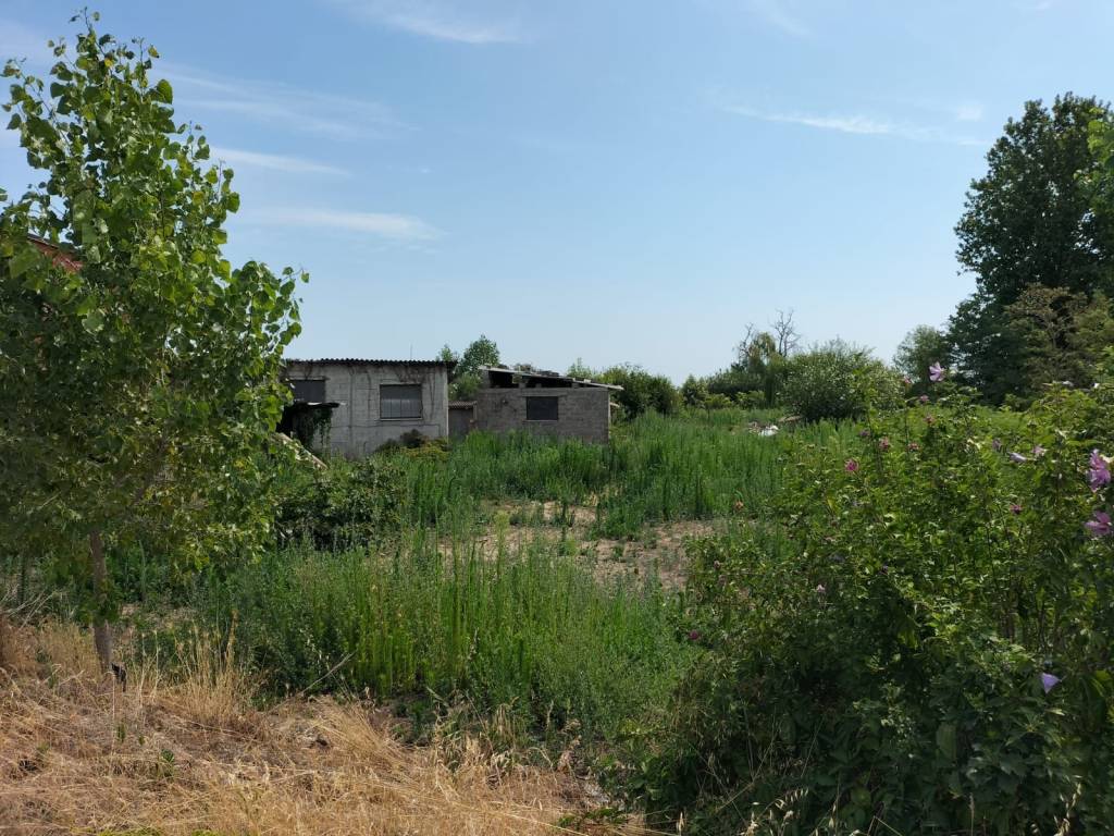 immagine annuncio 1 di 4