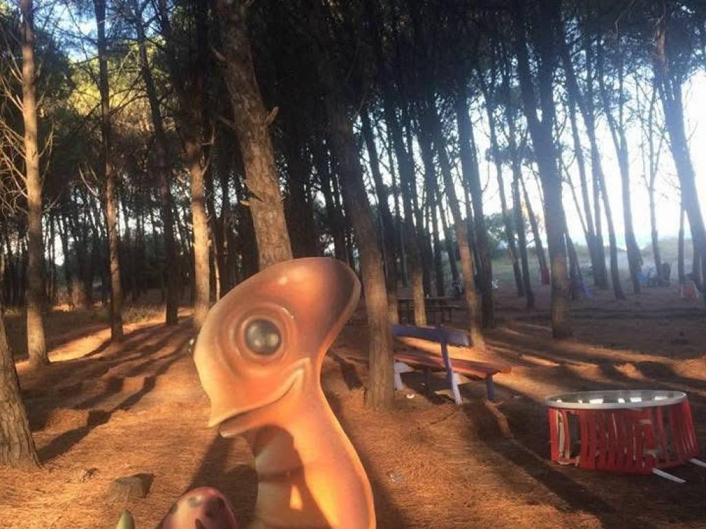 immagine annuncio 4 di 5