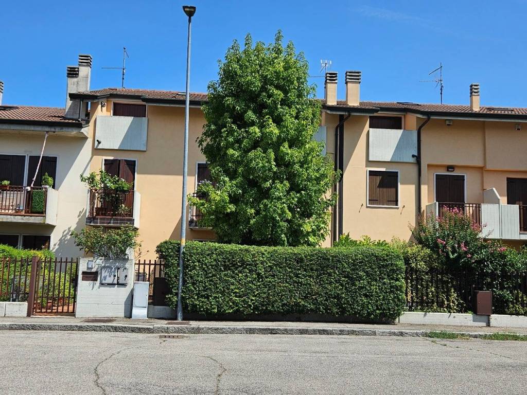 immagine annuncio 2 di 5