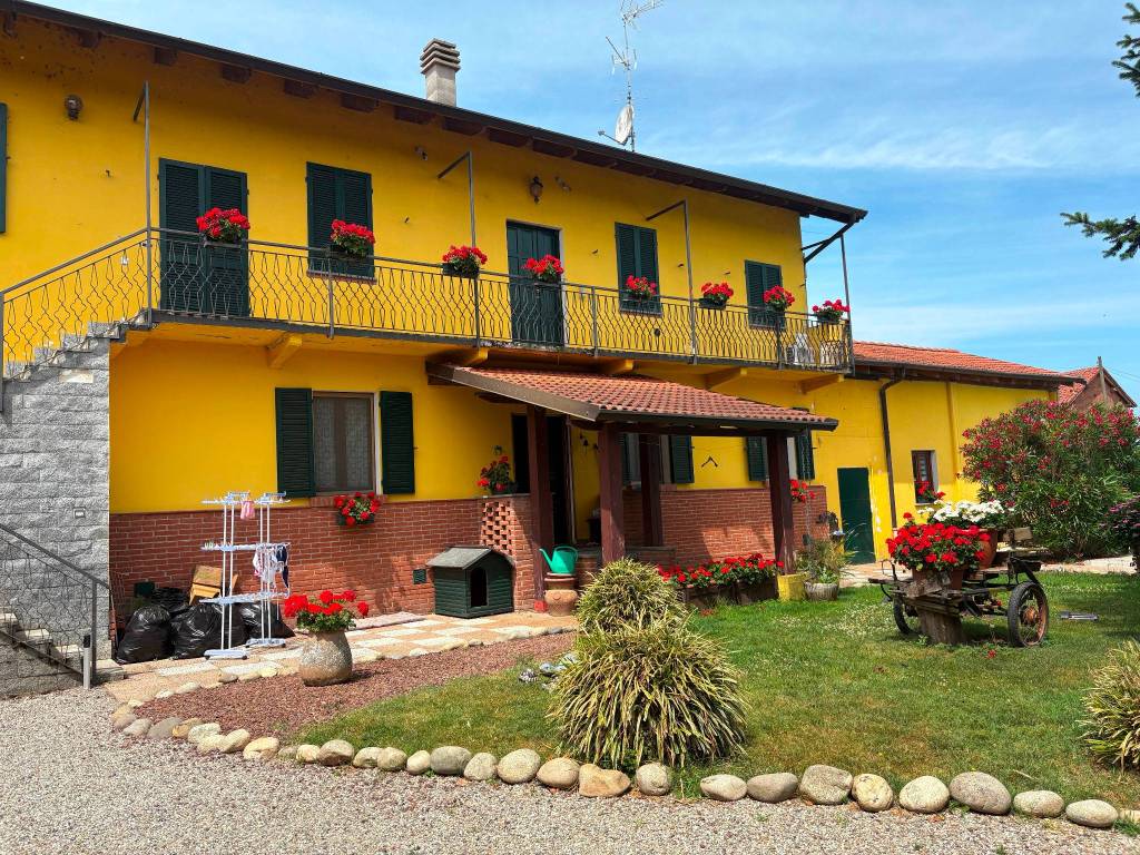 immagine annuncio 1 di 5