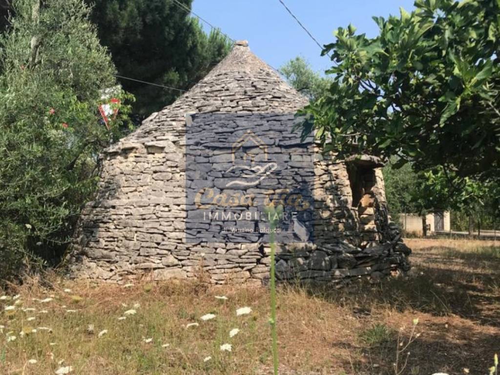 immagine annuncio 2 di 3