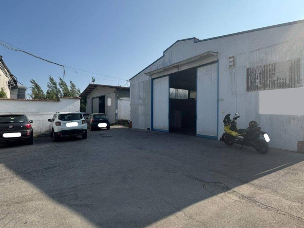 immagine annuncio 2 di 5