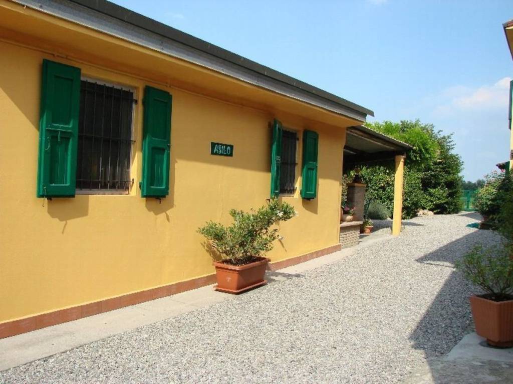immagine annuncio 2 di 5