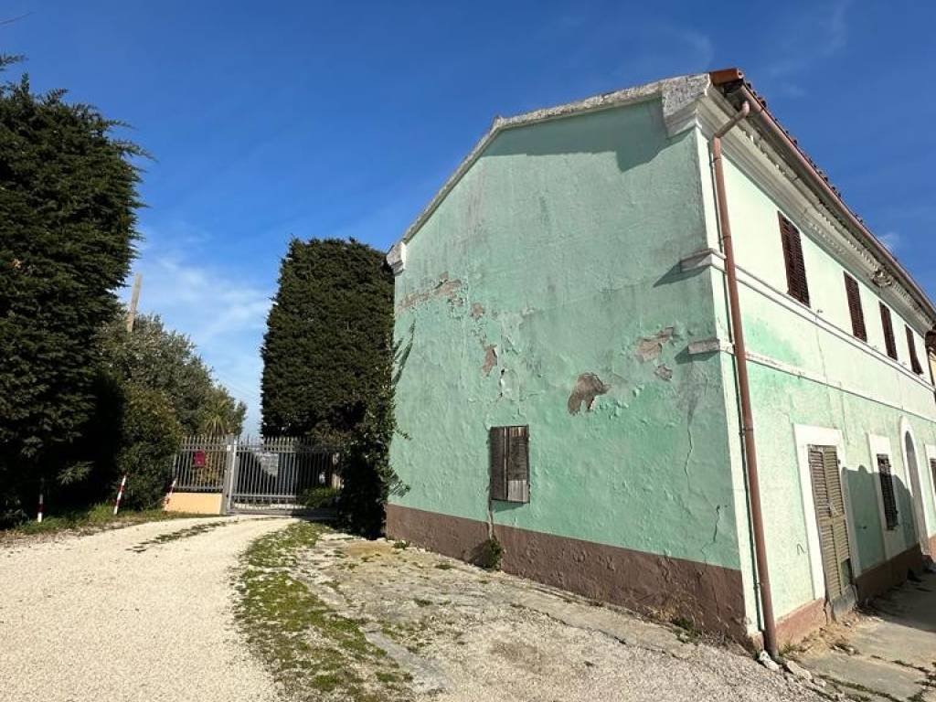 immagine annuncio 2 di 4