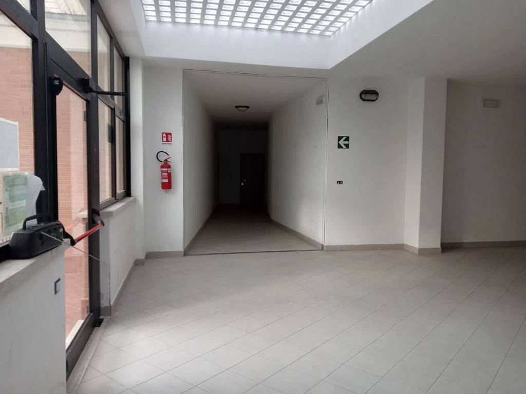 immagine annuncio 2 di 4