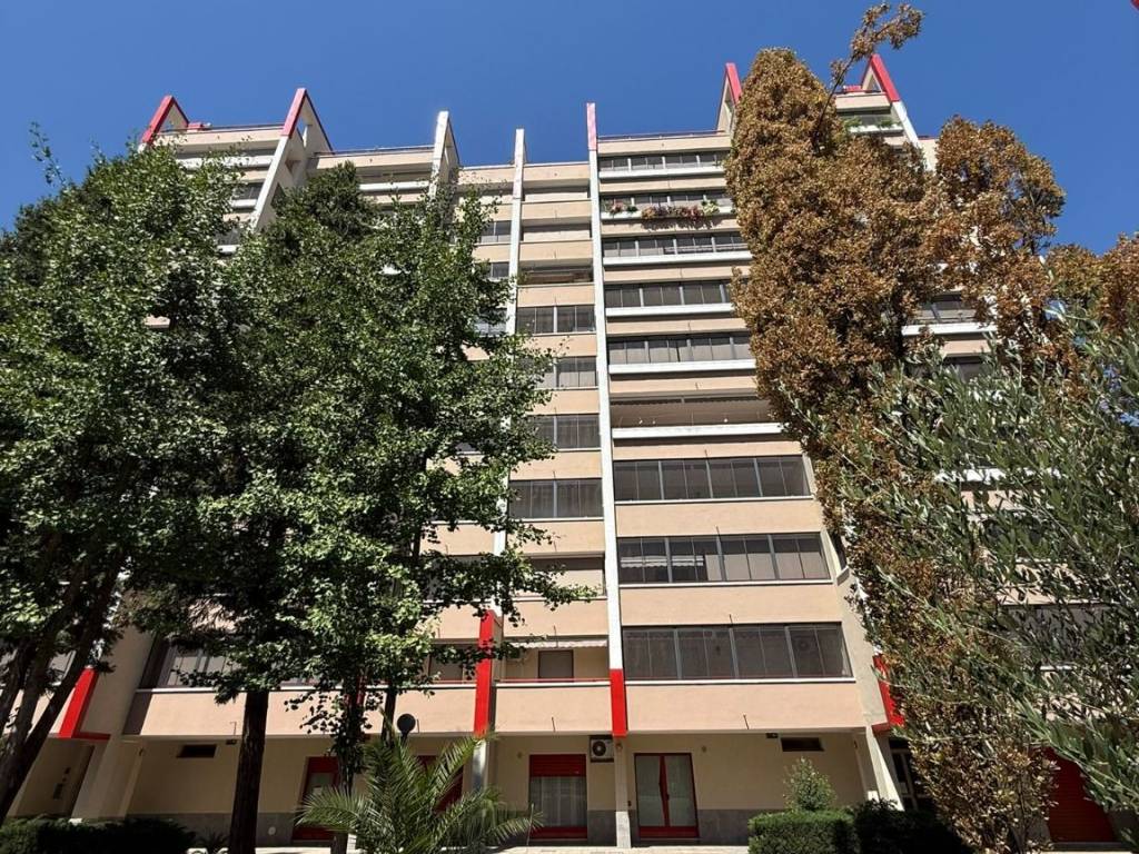immagine annuncio 2 di 3