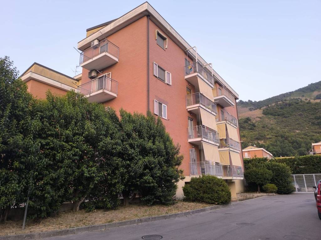 immagine annuncio 3 di 4