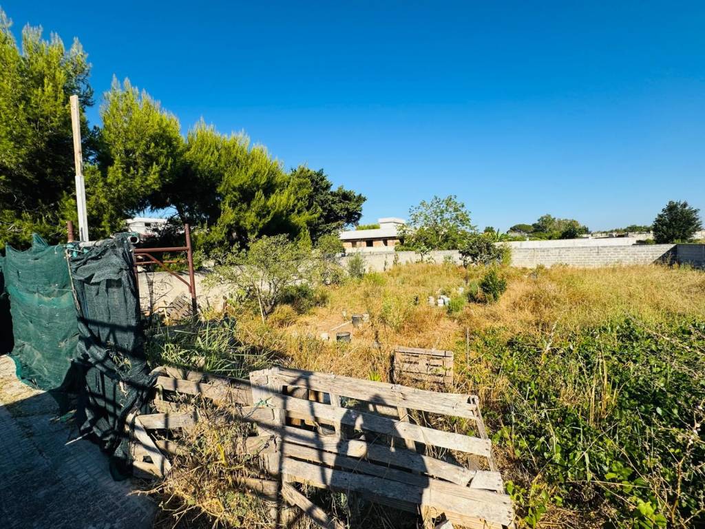 immagine annuncio 1 di 3