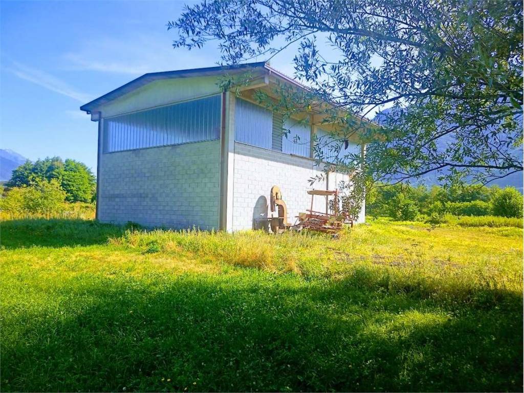 immagine annuncio 1 di 5