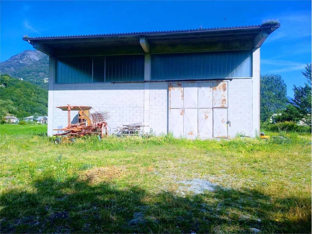 immagine annuncio 3 di 5