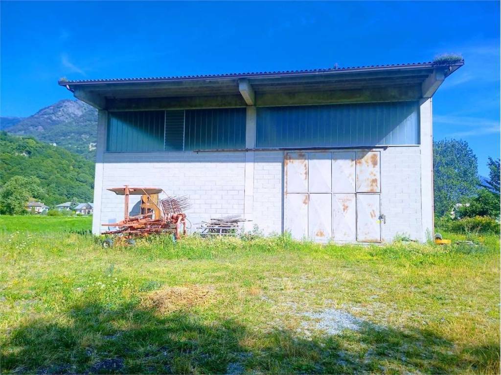 immagine annuncio 4 di 5