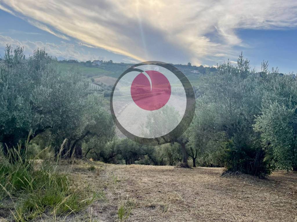 immagine annuncio 1 di 4