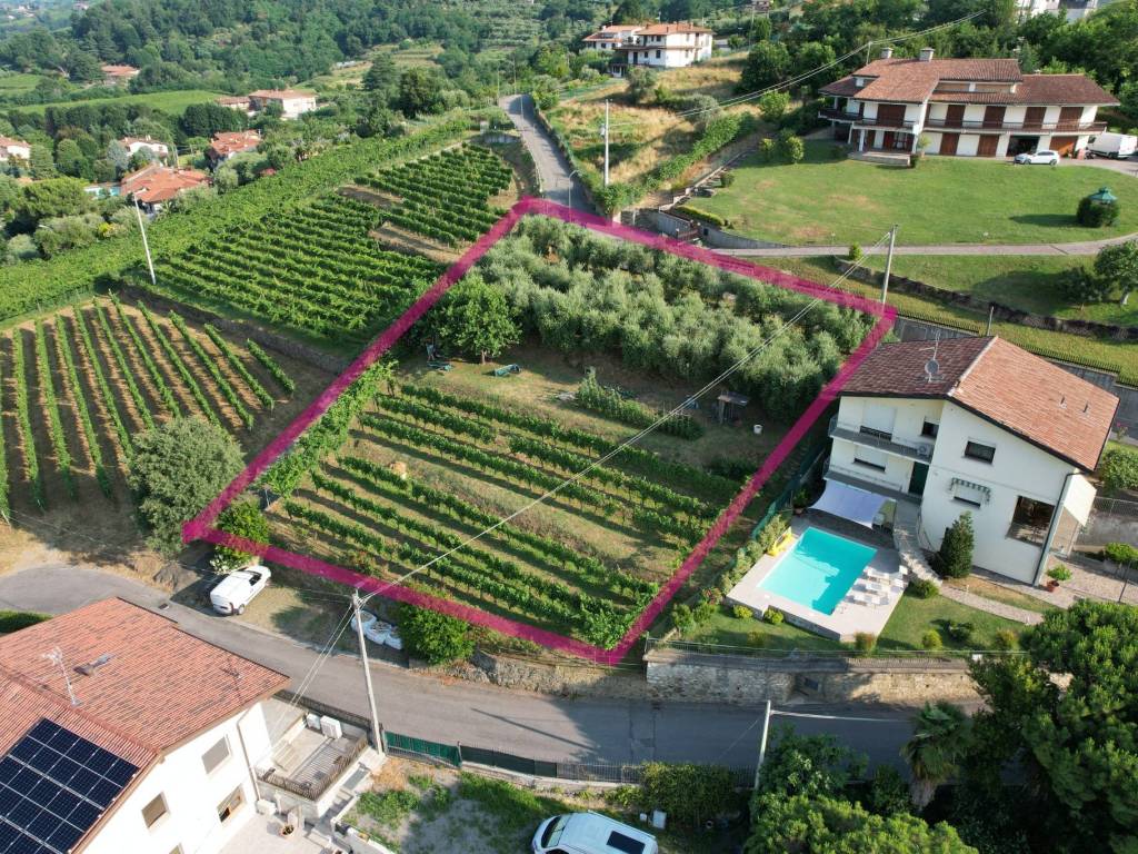 immagine annuncio 1 di 4