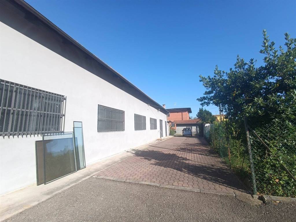 immagine annuncio 2 di 5