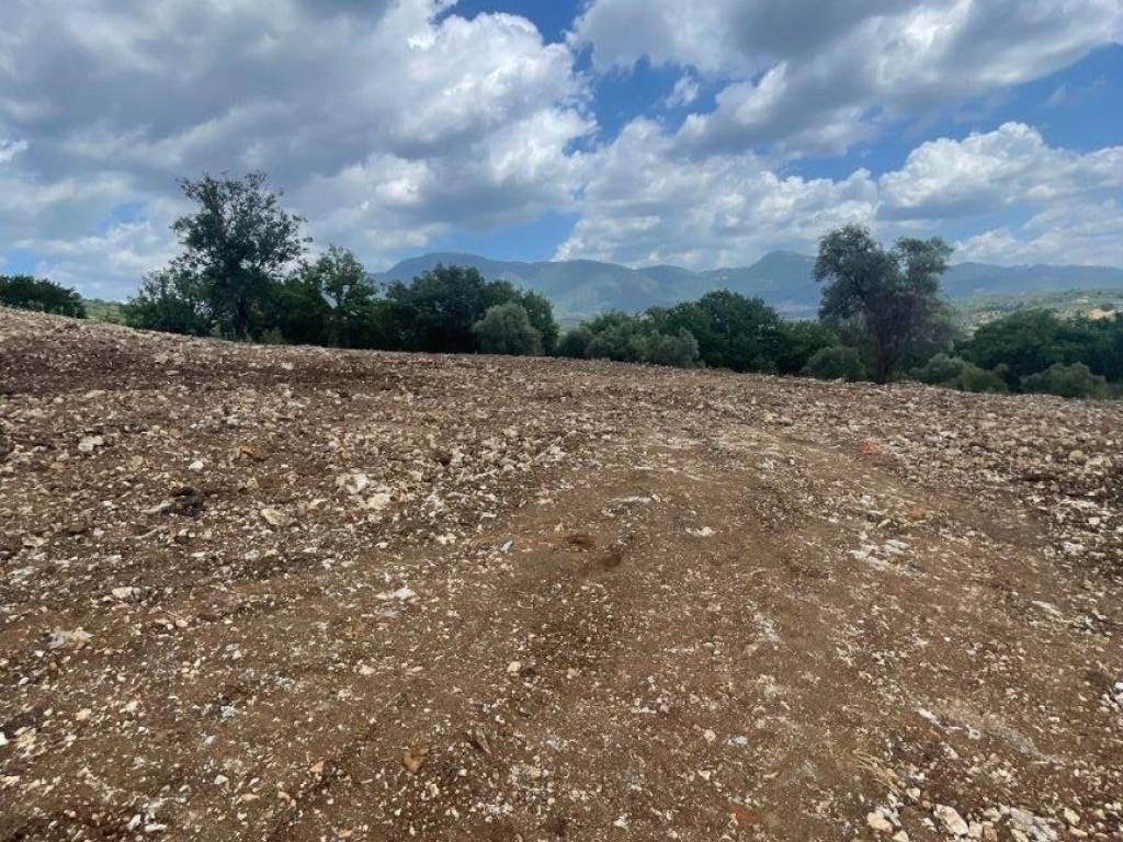 immagine annuncio 1 di 4