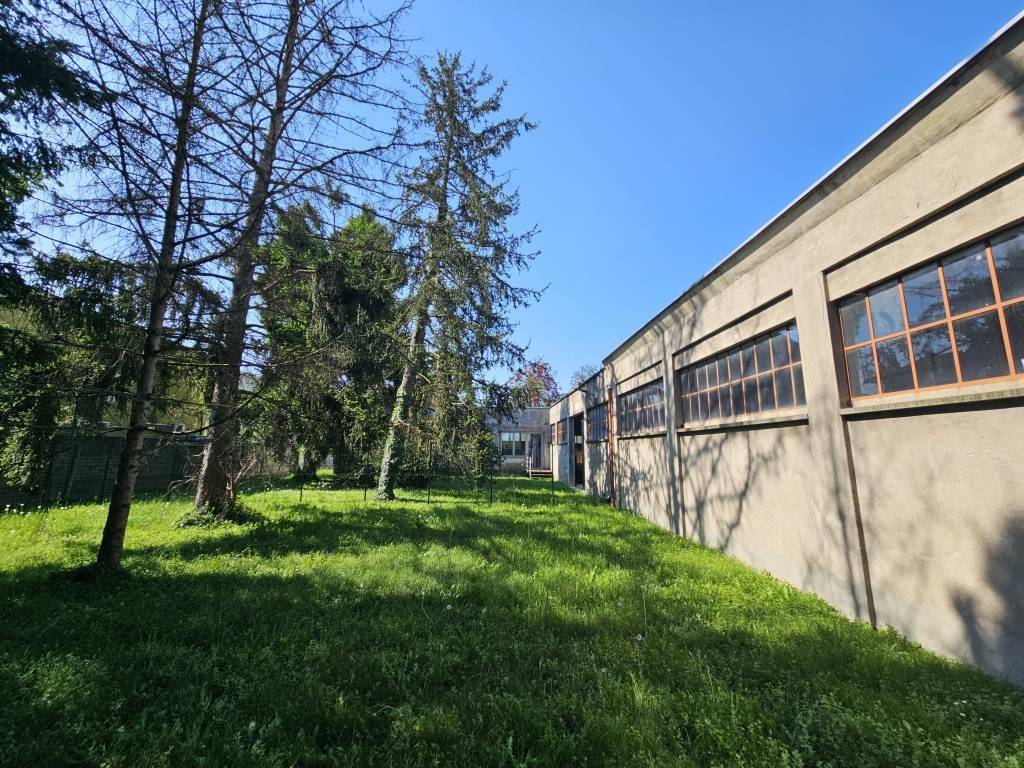 immagine annuncio 2 di 5